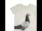 https://www.noelshack.com/2016-04-1454177610-fauna-kids-t-shirt-pigeon.png