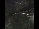 https://image.noelshack.com/fichiers/2016/04/1454245855-tumblr-mau7wnwbjr1r809hfo4-r3-250.gif