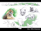 https://image.noelshack.com/fichiers/2016/05/1454512880-planche-animaux-1.jpg