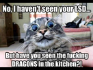 https://image.noelshack.com/fichiers/2016/06/1454968241-lsd.jpg