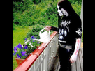 https://image.noelshack.com/fichiers/2016/06/1455305405-blackmetalflowers.jpg
