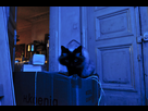 https://image.noelshack.com/fichiers/2016/06/1455376022-dscf1165.jpg