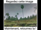 https://image.noelshack.com/fichiers/2016/06/1455384398-image.jpeg