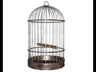 https://image.noelshack.com/fichiers/2016/06/1455478250-birdcage-photo.png