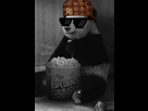 https://www.noelshack.com/2016-07-1455657253-1405772075-panda-eating-popcorn2.gif