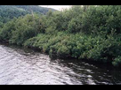 https://image.noelshack.com/fichiers/2016/07/1455714951-1-20une-20rive-20-c3-a0-20son-20naturel-20myrique-20.jpg
