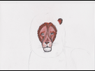 https://image.noelshack.com/fichiers/2016/07/1455724334-lion.jpeg