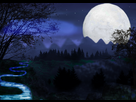 https://image.noelshack.com/fichiers/2016/07/1455724877-nuit.jpg