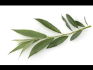 https://image.noelshack.com/fichiers/2016/07/1455728653-kmuokdve-saule-emer-fotolia-com-s.png