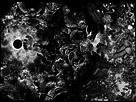 https://image.noelshack.com/fichiers/2016/07/1455796362-berserk-1592947.jpg