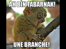 https://image.noelshack.com/fichiers/2016/08/1456162905-tabarnak.jpg