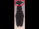https://image.noelshack.com/fichiers/2016/08/1456176273-1456173712-mamiezoldyck.png