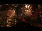 https://image.noelshack.com/fichiers/2016/08/1456216916-far-cry-r-primal-20160221103117.jpg