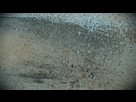 https://image.noelshack.com/fichiers/2016/08/1456397502-driveclub-tm-20160225112955.png