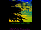 https://image.noelshack.com/fichiers/2016/08/1456505983-retweet-pedale.jpg