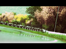 https://image.noelshack.com/fichiers/2016/08/1456583949-driveclub-tm-20160227142851.png