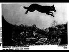 https://image.noelshack.com/fichiers/2016/08/1456624370-ww1-bf26.jpg