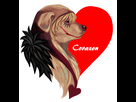 https://image.noelshack.com/fichiers/2016/08/1456669852-inuarazon.jpg