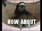 https://image.noelshack.com/fichiers/2016/09/1456948623-200w-1.gif