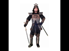https://image.noelshack.com/minis/2016/09/1457036518-costume-armure-de-samourai.png
