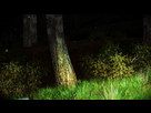 https://image.noelshack.com/fichiers/2016/09/1457177842-driveclub-tm-20160305111708.png