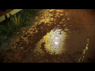 https://image.noelshack.com/fichiers/2016/09/1457177845-driveclub-tm-20160305114308.png