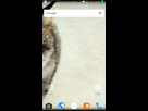 https://image.noelshack.com/fichiers/2016/09/1457181874-screenshot-20160305-134240.png