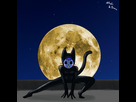 https://www.noelshack.com/2016-09-1457281331-rosie-catwoman-finie.png