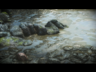 https://image.noelshack.com/fichiers/2016/10/1457456173-driveclub-tm-20160308165412.png