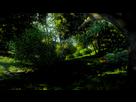 https://image.noelshack.com/fichiers/2016/10/1457457267-driveclub-tm-20160308175617.png