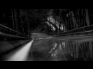 https://image.noelshack.com/fichiers/2016/10/1457539150-driveclub-tm-20160309155013.png