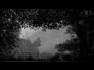 https://image.noelshack.com/fichiers/2016/10/1457539152-driveclub-tm-20160309154258.png