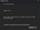 https://image.noelshack.com/fichiers/2016/10/1457780921-capture-ajout-impossible-amis-steam.png