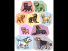 https://image.noelshack.com/fichiers/2016/10/1457802882-strawhat-dog-crew-by-emlan2.png