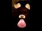 https://image.noelshack.com/fichiers/2016/11/1458045663-snapchat-4720138082374250863.jpg