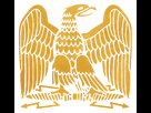 https://image.noelshack.com/fichiers/2016/11/1458146257-aigle-imperial.png
