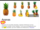 https://image.noelshack.com/fichiers/2016/11/1458171662-j-ai-raison.png