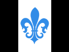 https://image.noelshack.com/fichiers/2016/11/1458481277-fleur-de-lys-bleu-france.png