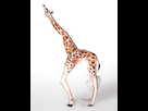 https://image.noelshack.com/fichiers/2016/12/1458538034-girafe-woman.jpeg