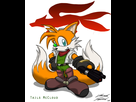 https://www.noelshack.com/2016-12-1458859991-tails-mccloud-lol-star-fox-22417518-576-684-1.jpg