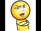 https://image.noelshack.com/fichiers/2016/12/1458934879-pose.png