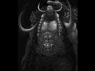 https://image.noelshack.com/fichiers/2016/13/1459526500-badassjack.jpg