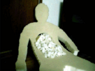 https://image.noelshack.com/fichiers/2016/13/1459594245-1442542395193.gif