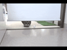 https://image.noelshack.com/fichiers/2016/14/1459876084-did-i-miss-it.gif