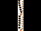 https://image.noelshack.com/fichiers/2016/14/1460038774-1434908171-linnd.jpg