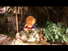 https://image.noelshack.com/fichiers/2016/15/1460638398-nekomamushipeluche.jpg
