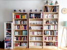 https://image.noelshack.com/fichiers/2016/15/1460718823-bibliotheque.jpg