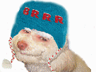 https://image.noelshack.com/minis/2016/15/1460749537-1459549085-1448655269-6.png