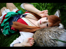 https://image.noelshack.com/fichiers/2016/15/1460884834-horo-holo-artbook-spice-and-wolf-cosplay-costume-by-k-a-n-a-d55pm6o.jpg