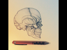 https://image.noelshack.com/fichiers/2016/15/1460915340-skull.png